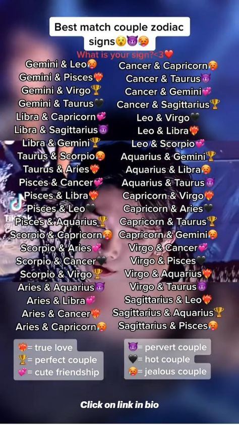 Zodiac Signs Matches, Crossing Boundaries, Zodiac Signs Pictures, Gemini And Pisces, Zodiac Signs Chart, Different Zodiac Signs, Zodiac Relationships, Zodiac Funny, Zodiac Signs Sagittarius