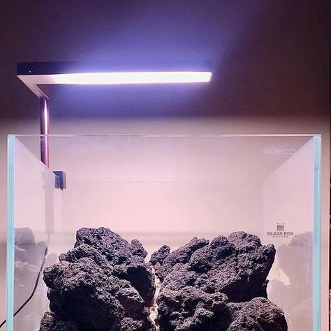 Dave Decapodian on Instagram: "Another day, another mountain scape! ⛰ this time using black lava rock in a 30cm cube for a customer. I got a little carried away with the details but I’m pretty happy with the end result 🙂 🌱 🧊 Bioeco tank from @aquatico_aquarium 🪨 Black lava rock from @smilingrockmelbourne #aquascape #aquascaping #aquascapingaustralia #iwagumi #iwagumistyle #iwagumilayout #diorama #nanoiwagumi #lavarock #blacklava #cubeaquarium #hardscape #hardscapedesign #hardscaping #hardsca Lava Rock Aquascape, Rock Aquascape, Mountain Scape, Hardscape Design, Aquascaping, Lava Rock, Lava Stone, Another Day, Fish