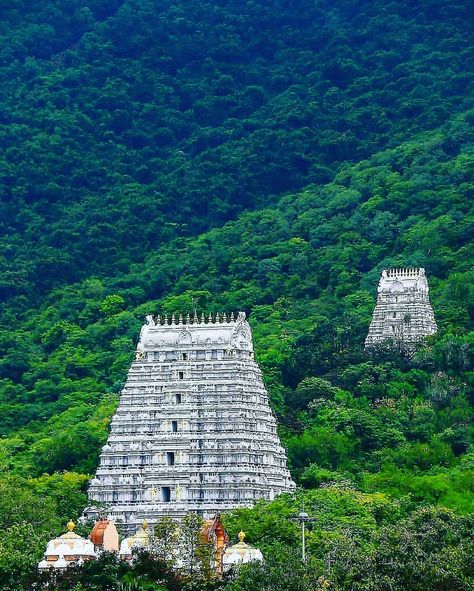 Tirumala Temple Images, Tirupathi Temple Images, Thirumala Thirupathi Temple, Andhra Pradesh Culture, Thirupathi Temple, Tirupati Temple, Tirumala Venkateswara, Venkateswara Swamy Images Hd 1080 Wallpaper, Tirumala Venkateswara Temple