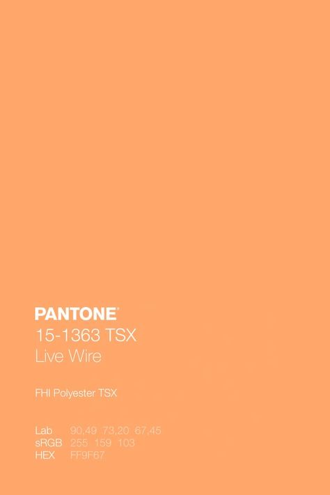 Creamy Orange Color, Pantone Pastel Colors, Orange Pastel Color, Grimm Book, Pastel Orange Color, Pastel Pantone, Mood Boards Color, Orange Color Code, Pantone Orange