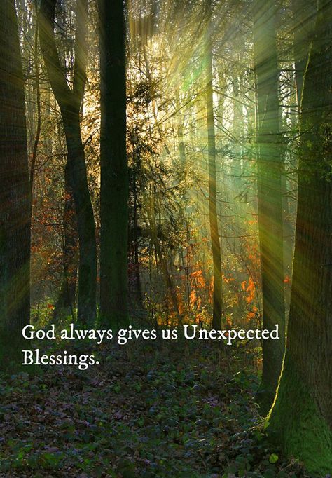 God always gives us unexpected blessings. Unexpected Blessings Quotes, Unexpected Blessings, Blessings Quotes, Appreciate Life Quotes, Blessed Quotes, Serve The Lord, Faith Prayer, Bible Quotes Prayer, I Pray