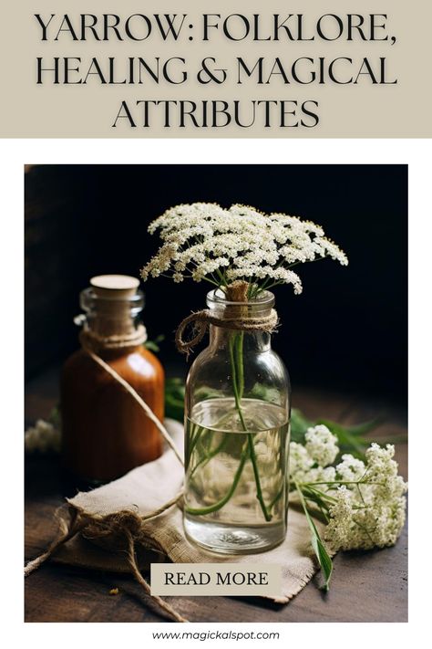 Unearth the mystical secrets of Yarrow in our captivating article! Delve into its rich folklore, explore its healing properties, and uncover the magical attributes this ancient herb holds in witchcraft. From love spells to protective charms, yarrow is a versatile ally for any practitioner. 🌼✨ #YarrowMagic #FolkloreHerbs #HealingPlants #WitchcraftHerbology #MagicalProperties Yarrow Witchcraft, Herb Spells Herbal Magic, Wormwood Magical Properties, Yarrow Magical Properties, Hyssop Magical Properties, Herb Preservation, Plant Magick, Herbal Grimoire, Cleansing Spells