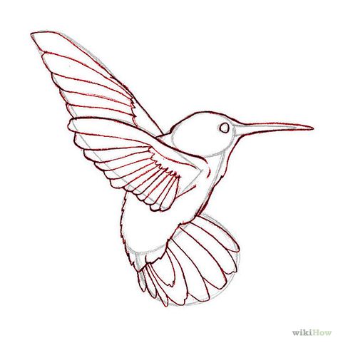 How to Draw Hummingbirds: 7 Steps (with Pictures) - wikiHow Cute Easy Animal Drawings, Hummingbird Drawing, Easy Animal Drawings, Hummingbird Painting, Easy Animals, Hummingbird Art, Animal Drawing, Creative Lettering, Art Instructions