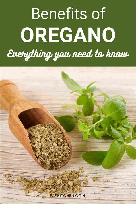 A visually appealing pin featuring Oregano 101: Nutrition, Benefits, How To Use, Buy, Store. A guide to maximize the use of this versatile herb in your culinary journey. #Oregano #Herbs #HealthyLiving Benefits Of Oregano, Onion Benefits Health, Growing Oregano, Dandelion Benefits, Hands Of Time, Growing Healthy Hair, Chia Seeds Benefits, Medical Herbs, Tea Health Benefits