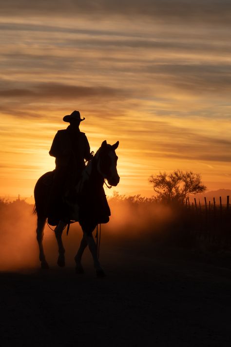 Martha Lyle - Fstoppers Photo of The Day for Sep 13 2023 #fstoppers #PotD Cowboy heading home after a cattle round up in Arizona Horse And Cowboy Silhouette, Cowboy Man Cave, Arizona Cowboy, Cowboy Scene, Cowboy Photos, Cowboy Camp, Cowboy Vibes, Cowboy Wisdom, Big Cat Species