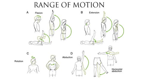 Range of Motion Testing Range Of Motion Exercises, Shoulder Range Of Motion, Lumbar Lordosis, Soap Notes, Physiotherapy Exercises, Basic Anatomy And Physiology, Physiotherapy Clinic, Nursing Student Tips, Medicine Journal