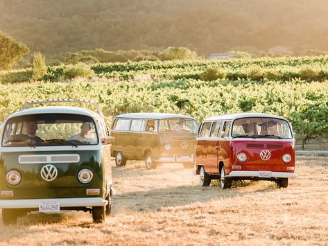 San Francisco Activities, Napa Valley Wine Tours, Napa Valley Trip, Sonoma Wineries, Napa Wineries, Napa Valley Wineries, Vintage Vw Bus, Napa Wine, Picnic Lunch