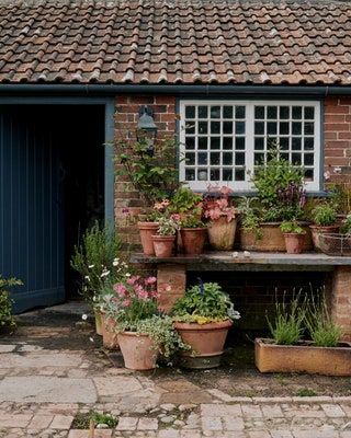 Uk Garden Ideas, Patio Planting, Cottage Garden Decor, Potted Garden, Balkon Design, Garden Inspo, English Country Gardens, Topiaries, Country Garden