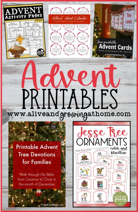 Check out these FREE Advent Printables! Kids Advent Bible Verses, Free Family Advent Devotional, Weekly Advent Readings For Kids, Christian Advent Activities, Advent Study For Kids, Advent Worksheets Free Printables, Catholic Advent Activities For Kids Free Printable, Advent Scriptures For Kids, Advent Bible Reading Plan For Kids