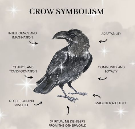 Crow Symbolism, Raven Magic, Raven Aesthetic, Crow Spirit Animal, Crows Aesthetic, The Otherworld, Animal Meanings, Animal Spirit Guides, Witch Spirituality