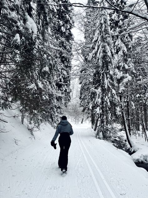 Woman In Snow Aesthetic, Snow Walk Aesthetic, Winter Walking Aesthetic, Winter Walk Aesthetic, Winter Arch, Winter Board, Winter Walking, Snowy Woods, Winter Moon