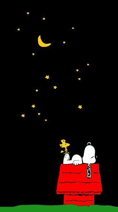 Good Night Snoopy, Charlie Brown Wallpaper, Wallpaper Snoopy, Christmas Wallpaper Iphone Cute, Woodstock Snoopy, Snoopy Funny, Charlie Brown Snoopy, Snoopy Images, Snoopy Wallpaper