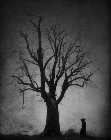 Old tree Creepy Urban Legends, Dark Art Photography, Tree Tattoo Designs, Tree Sketches, Charcoal Drawings, Macabre Art, Dark Soul, Dark Art Drawings, Tree Drawing