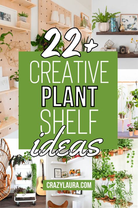 Plant Shelf Ideas, Window Plant Shelf, Indoor Plant Display, Indoor Plant Shelves, Wall Plant Holder, Plant Display Ideas, Indoor Plant Wall, Corner Plant, Window Plants