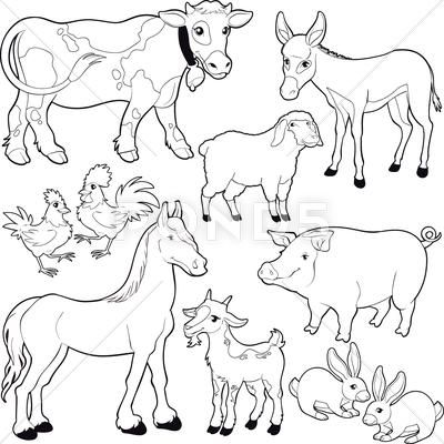 Animal Clipart Black And White, Farm Animal Clipart, Farm Animals Pictures, Animal Templates, Farm Animal Coloring Pages, Animals Coloring, Clipart Black And White, Vintage Farm, Outline Drawings