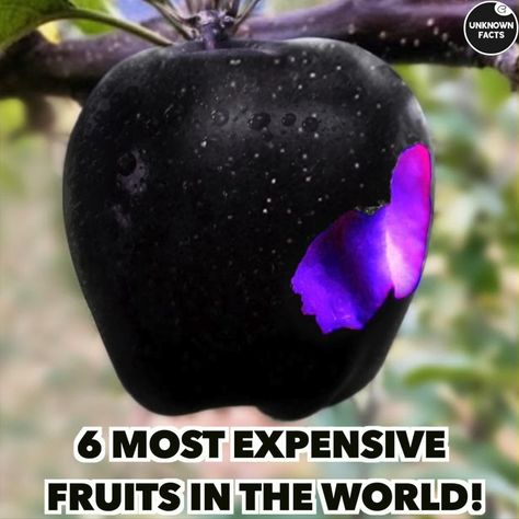 6 Most Expensive Fruits In The World! | fruit | 6 Most Expensive Fruits In The World! | By Unknown Facts Rare Fruits And Vegetables, Weird Fruits And Vegetables, Indoor Fruit Plants, Weird Vegetables, Wonderland Food, Fantasy Fruit, Rare Fruits, Fruit World, Weird Fruit