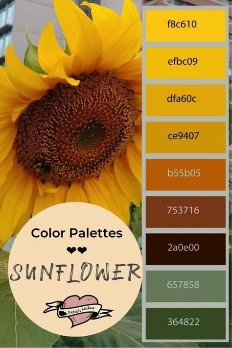 Colors of the sunflower! This amazing palette is the inspiration for making paper flowers and other Diy home decor! This color palette is from an untouched photo from a local garden. Perfect for papercrafts, DiY Home Decor, and more. #cricut #papercarft #colorpalette #craft #handmadecard #DIYHomeDecor Sunflower Colors Palette, Sunflower Kitchen Color Scheme, Sunflower Kitchen Paint Colors, Sunflower Yellow Color Palette, Sunflower Pallet Color, Colors That Go With Sunflowers, Sunflower Color Scheme, Sunflower Wedding Palette, Sunflower Colour Palette