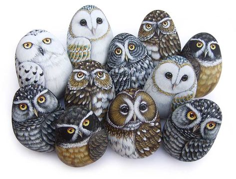 Art Party Favors, Owl Rocks, Painted Rock Animals, Hand Painted Gifts, Owl Crafts, Rock Painting Patterns, Owl Painting, Pet Rocks, Rock Painting Designs