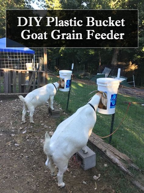 DIY Plastic Bucket Goat Grain Feeder... #goats #diy #homestead #homesteading Goat Grain Feeder, Diy Garbage Can, 4h Goats, Goat Hay Feeder, Goat Fence, Goat Feeder, Goat Playground, Goat Toys, Goat Shed