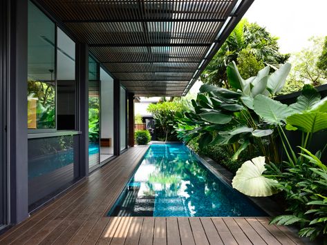 Gallery of Verdant Verandahs House / HYLA Architects - 5 Garden Pool Design, Pelan Rumah, Indoor Swimming Pool, Small Pool Design, Small Pools, Tropical House, Backyard Pool Designs, Indoor Swimming, Swimming Pools Backyard