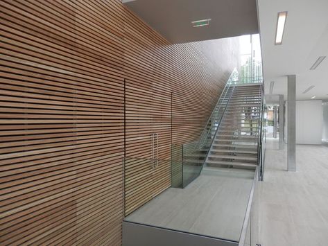 modern interior with large wood slat feature wall leading up staircase. Horizontal Wood Slat Wall, Acoustic Slat Wood Wall Panels, Goat Shed, Wood Wall Panels, Wood Slat Wall, Wall Panelling, Acoustic Wall, Yoga Room, Wood Panel Walls