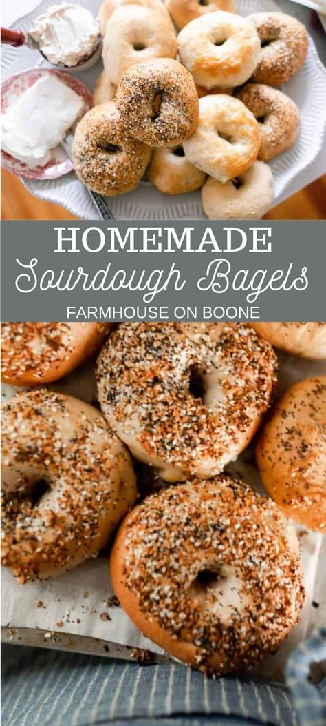 Sourdough Bagels Recipe, Recipe Using Sourdough Starter, Bagels Recipe, Sourdough Bagels, Dough Starter, Sourdough Starter Discard Recipe, Homemade Sourdough Bread, Homemade Sourdough, Sourdough Starter Recipe