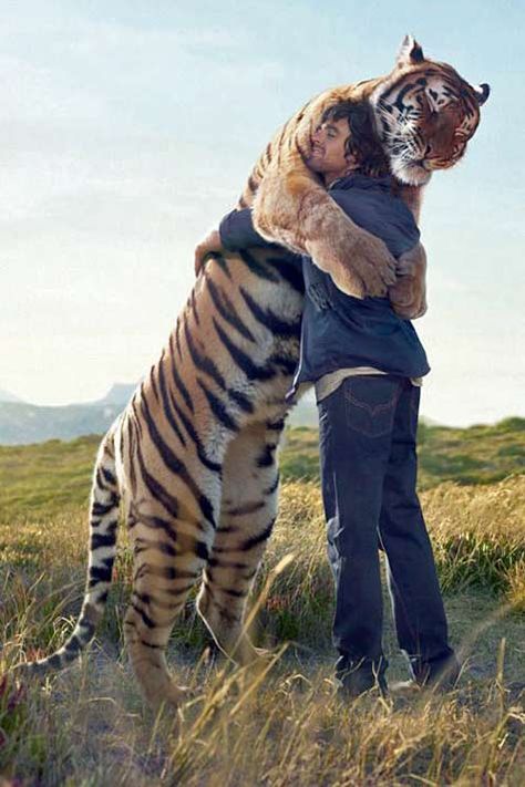 This-man-came-to-visit-his-pet-tiger-after-he-had-been-released-into-the-wild.-The-tiger-ran-to-greet-him-with-huge-hugs-and-even-introduced-him-to-his-mate Macan Tutul, Regnul Animal, Gato Grande, Animale Rare, Cheetahs, A Tiger, Big Cat, Calvin And Hobbes, 귀여운 동물