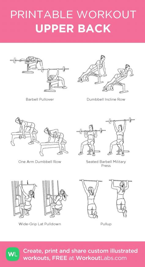 Upper back workout Back Chest And Arm Workouts, Back Workout Equipment Gym, Gym Exercise For Back, No Machine Back Workout, Gym Reps Workout Plans, Workout For Upper Back, Upper Back Workout Gym, Back Weights Workout, Good Back Workouts For Women