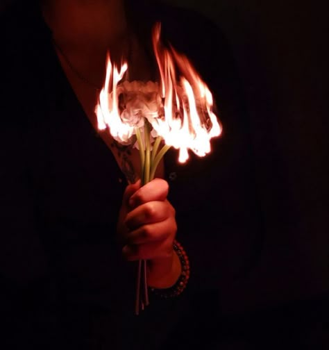 Flower Burning Aesthetic, Fire Aesthetic Pictures, Fire Couple Aesthetic, Fire Hands Aesthetic, Burn Aesthetic Pictures, Pretty Fire Aesthetic, Fire Flower Aesthetic, Burning Things Aesthetic, Flowers On Fire Aesthetic