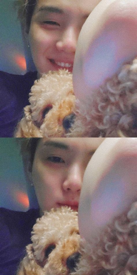 Suga Holly Dog, Min Yoongi And Holly, Suga And Holly Dog, Suga With Holly, Min Holly Suga Dog, Suga And Holly, Suga Holly, Suga Dog, Sugas Dog