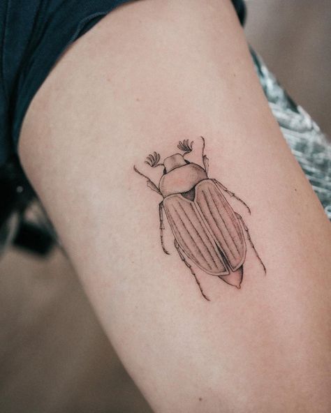 Alina | Fineline Tattoo Artist on Instagram: “🐛only single needle. Custom Design. . . . #bug #bugtattoo #vegantattoo #floraltattoo #botanical #got #dogtattoo #realistictattoo #vegan…” Beatle Tattoo Insect Simple, June Bug Tattoo, Fineline Tattoo, Vegan Tattoo, Bug Tattoo, New School Tattoo, Realism Tattoo, American Traditional Tattoo, Dog Tattoo