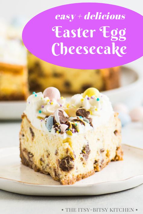 Easter egg cheesecake! This easy homemade cheesecake is filled with mini chocolate Cadbury eggs, topped with whipped cream, and has a buttery graham cracker crust. This recipe is delicious for Easter or any time in spring! No water bath required and it's even easy to make! Easter Egg Cheesecake, Cheesecake Easter, Easter Cheesecake, Cadbury Mini Eggs, Easy Homemade Desserts, Easy Easter Desserts, Homemade Dessert, Easter Desserts Recipes, Homemade Cheesecake