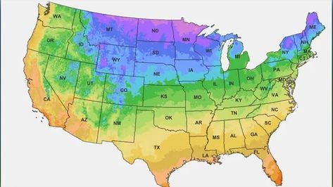 USDA updates its 2024 Plant Hardiness Map: Find out what planting zone you live in — FOX Weather Seattle Weather, Plant Hardiness Zone Map, Plant Zones, New West, Unusual Animals, They Live, Severe Weather, Planting, The United States