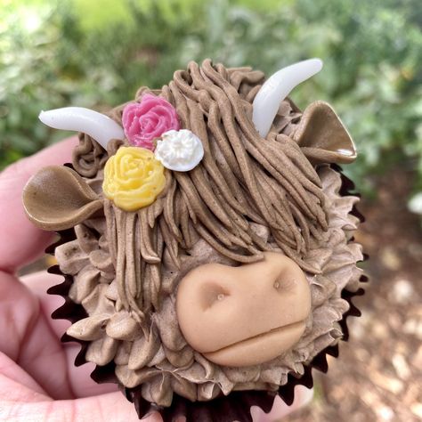 “I am so in love with my Highland Coo cupcakes!! A perfect treat for afternoon tea! #highlandcow #cupcakesoftwitter #cupcakes #smallbusinessuk #scotland #arbroath #wildrosebakery” Cupcakes Decoration Animals, Highland Cupcakes, How To Make Highland Cow Cupcakes, Highlander Cow Cupcakes, Cow Cupcakes Ideas, Highland Cow Birthday Cake, Cow Cake Ideas, Cute Cupcake Decorating Ideas, Highland Cow Cupcakes