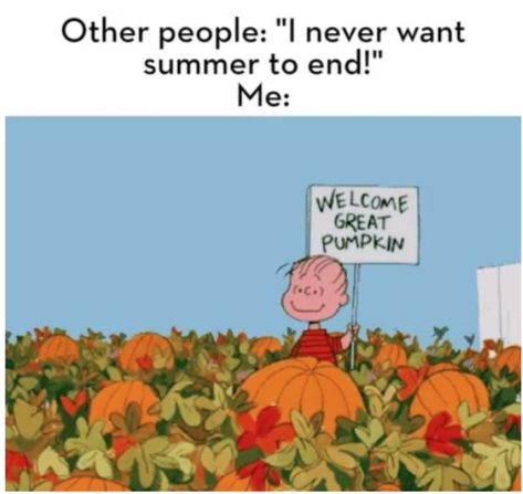 Time to switch out your coffee for a PSL, overhaul your wardrobe to a ton of flannels, and celebrate the season with these funny fall memes. Pumpkin Meme, Welcome Great Pumpkin, Hate Summer, Fall Instagram, Fall Humor, Fall Memes, Funny Fall, Summer Funny, Great Pumpkin