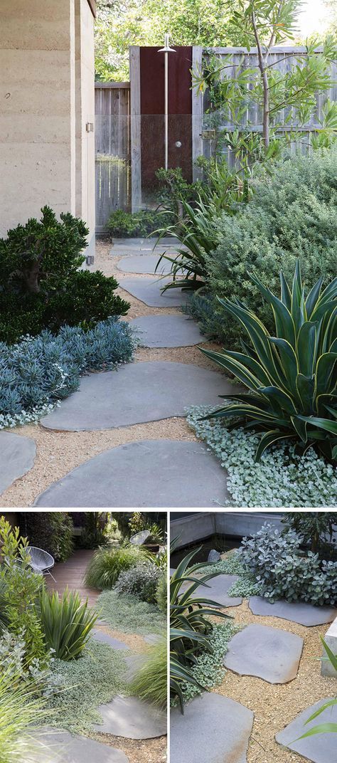 Large Yard Landscaping, Different Types Of Plants, Garden Stepping Stones, Gravel Garden, Coastal Gardens, Large Yard, Landscape Designs, Native Garden, Landscaping With Rocks