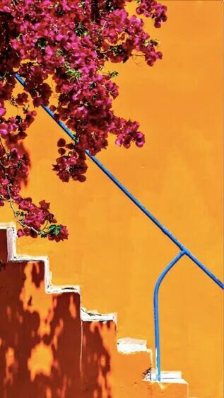 Plakat Design Inspiration, Orange Aesthetic, Yellow Aesthetic, Bougainvillea, 판타지 아트, Travel Aesthetic, Bright Orange, Pretty Pictures, Painting Inspiration