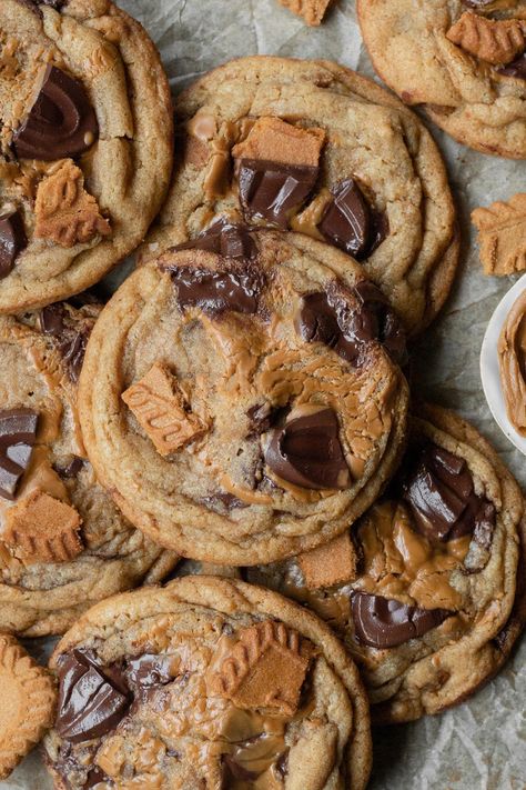 Biscoff Chocolate Chip Cookies - Fresh Bean Bakery Biscoff Chocolate, Super Cookies, American Foods, Biscoff Cookie Butter, Best Cookies Ever, Cookies Recipes Chocolate Chip, Cookie Desserts, Decadent Desserts, Sweets Treats