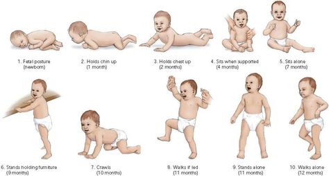 For those of you who are curious about a baby’s development after birth, we have the perfect development guide for you; 'guide' is the key word here. Keep in mind that it’s only an approximate based on an average development scale, because every baby is unique! Baby Growth Spurts, Stages Of Baby Development, Newborn Schedule, Baby Information, Motor Development, Baby Stage, Baby Care Tips, Baby Growth, Baby Advice