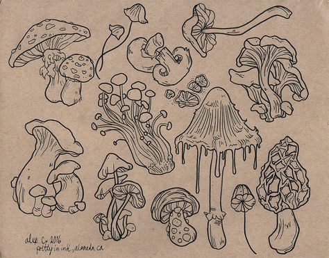 Mushroom Flash, Mushroom Art, Drawing Inspo, A Drawing, Tattoo Inspo, Tattoos And Piercings, Drawing Ideas, Body Art, Art Inspo