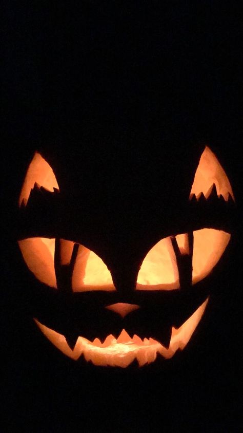 Dino Jack O Lantern, Flower Jack O Lantern Ideas, Simple Cat Pumpkin Carving Ideas, Punkin Carvings Ideas, Harry Potter Jack O Lantern Ideas, Best Jack O Lantern Ideas, Cool Jackolantern, Pumpkin Carving Ideas With String, Witch Jack O Lantern Pumpkin Carvings