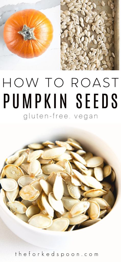 Save the seeds from your pumpkins and try making your own Roasted Pumpkin Seeds. A tasty snack or crunchy garnish on all your favorite soups and salads, learn all there is to know about roasting pumpkin seeds including how to season them! Roasting Pumpkin Seeds, Canning Preserves, Roasting Pumpkin, Roast Pumpkin Seeds, Kitchen Knowledge, Modern Homestead, Pumpkin Seed Recipes, Modern Thanksgiving, Modern Homesteading