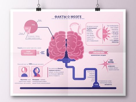 Infographic about brains by Alena Magazine Infographic Layout, Creative Infographic Poster, Medical Infographic Design, Brain Graphic Design, Magazine Infographic, Medical Magazine, Brain Infographic, Europass Cv, Astronomy Magazine