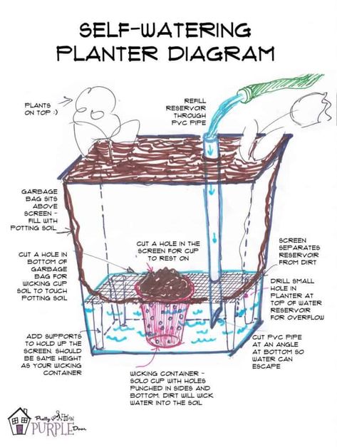 Super easy DIY self-watering planter Easy Self Watering Planter Diy, Self Irrigating Planter Diy, Self Watering Plant Pot, Self Watering Planters Diy, Diy Self Wicking Planter, How To Make A Self Watering Planter, Self Watering Pots Diy, Diy Self Watering Pot, Self Watering Planter Diy