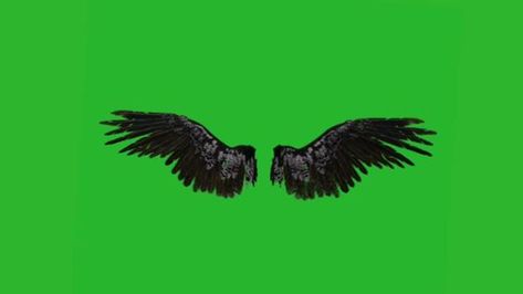 Wings Green Screen, Green Screen Animation, Devil Wings, Angel Wings Illustration, Green Screen Footage, Star Overlays, Fotografi Bawah Air, Free Green Screen, Picture Editing Apps