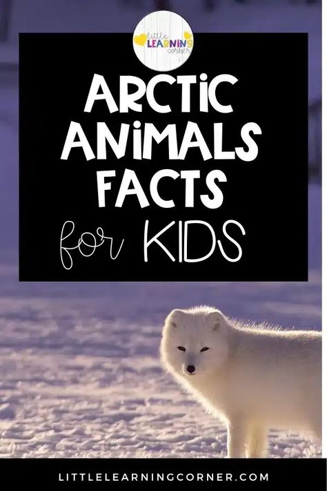 Arctic animals facts for kids and printable worksheets Arctic Animals Printables, Arctic Animals Preschool, Arctic Habitat, Animal Facts For Kids, Animal Writing, Learning Corner, Owl Species, Fun Facts For Kids, Arctic Tundra