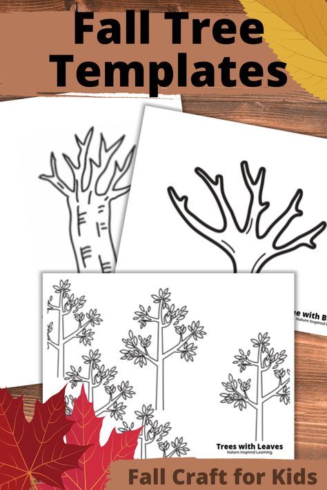 Kids of all ages love coloring, but also creating unique pieces of art. Use these pictures as coloring sheets or templates for fall themed crafts! Bare tree with no leaves, trees with leaves, and branch without leaves... Printable Trees Without Leaves, Fall Themed Crafts, Tree With No Leaves, Tree Without Leaves, Tree Coloring, Autumn Leaves Craft, Tree Template, Bare Trees, Natural Kids