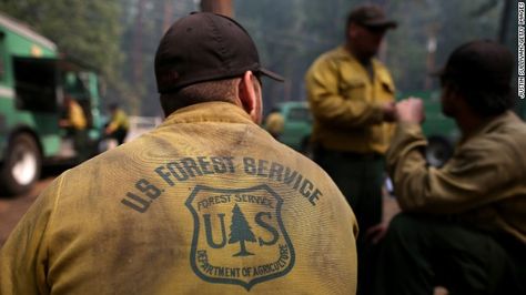 Us Forest Service, Firefighter Quotes, Yosemite California, Wildland Fire, Forest Ranger, Wildland Firefighter, Female Firefighter, Volunteer Gifts, Smokey The Bears