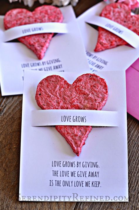 Seed Paper Diy, Seeds Photography, Germinating Seeds, Flower Seed Paper, Heart Favors, Ge Bort, Seed Paper, Valentine's Day Cards, Mors Dag