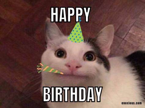 21 Happy Birthday Cat Meme Ideas Happy Birthday Cat Meme, Birthday Cat Meme, Happy Birthday Crazy Lady, Happy Birthday Cats, Cat Birthday Memes, Funny Birthday Pictures, Cat Birthday Wishes, Cat Birthday Funny, Happy Birthday Funny Cats